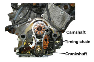 timing chain versus timing belt