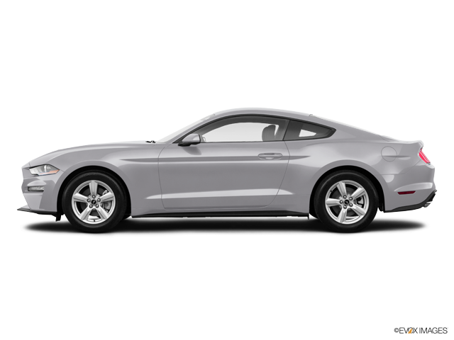 EcoBoost Fastback