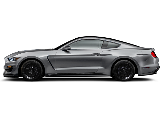 Ford Shelby GT350  R