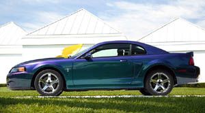 Mustang
