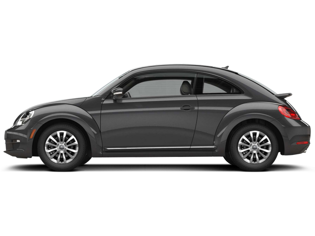 Beetle